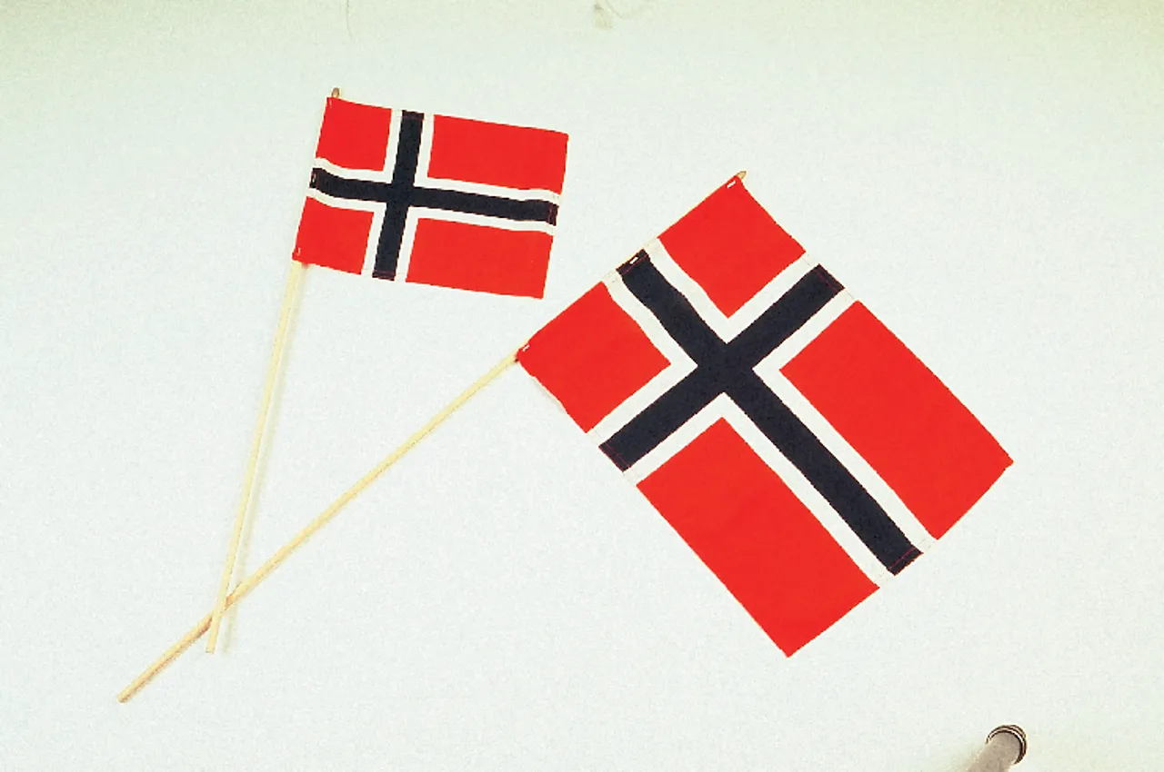 Flagg 17.mai 20x28cm