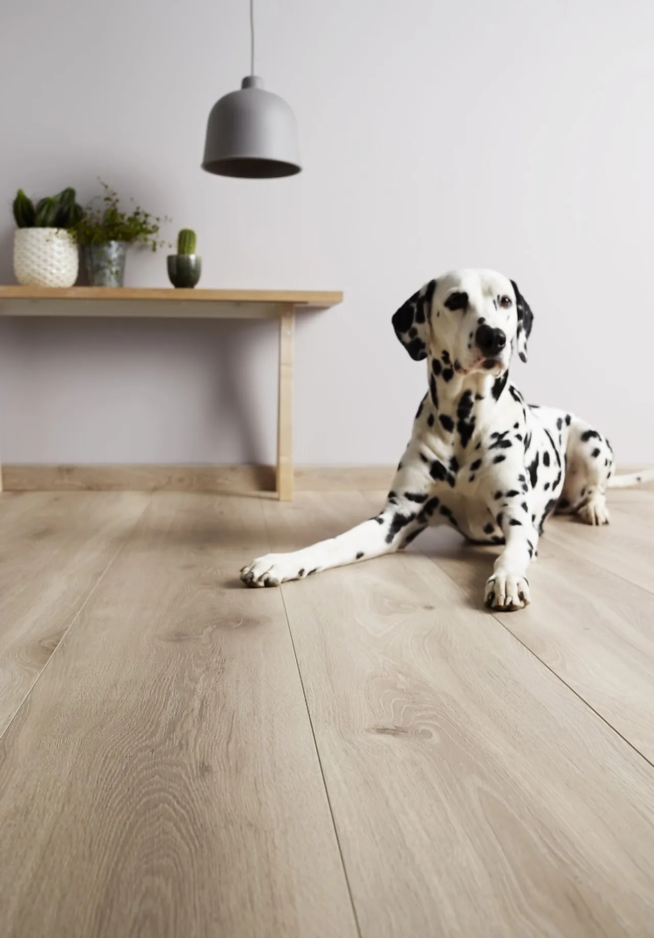 Laminatgulv XL 1-stav hvit bred og lang bord null - null - 2 - Miniatyr