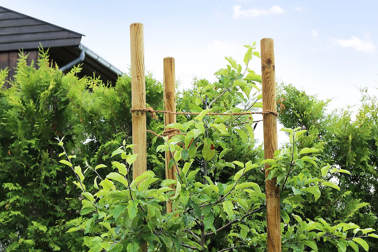 Gjerdestolper 6x150 cm null - null - 3 - Miniatyr