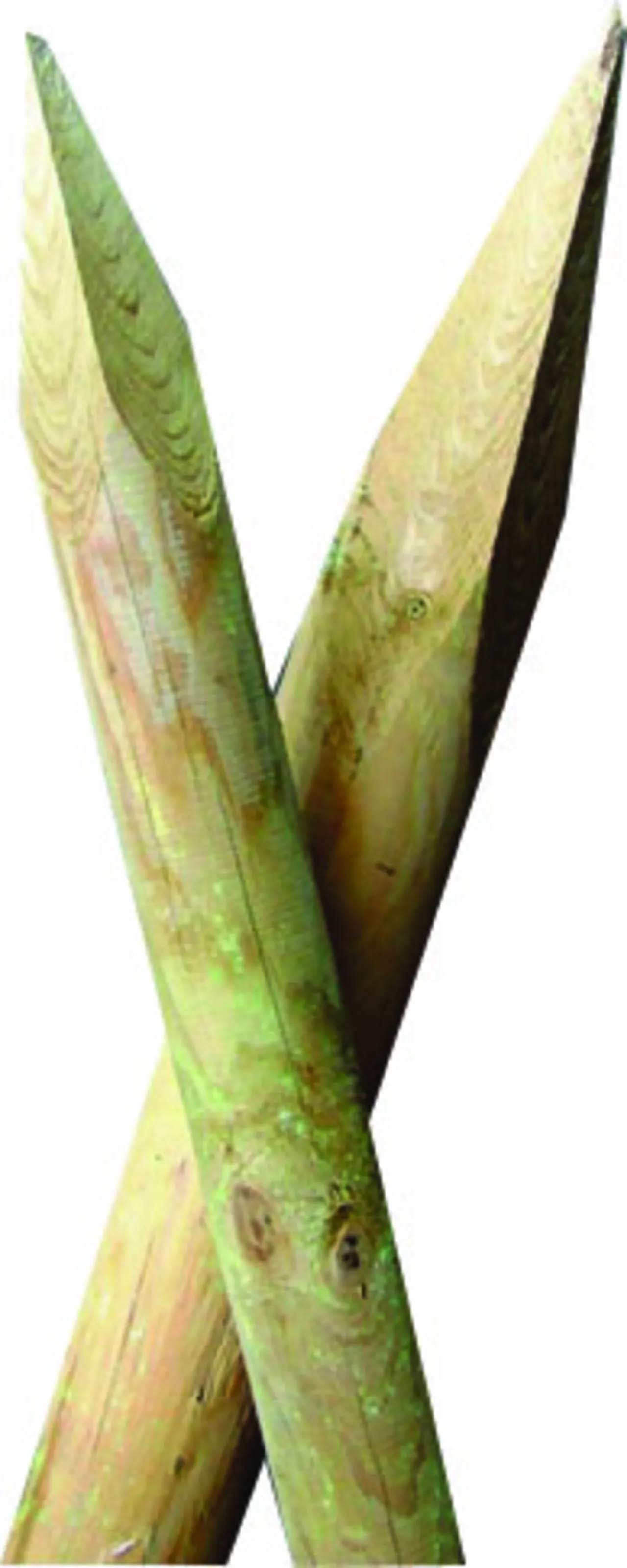 Gjerdestolper 6x180 cm