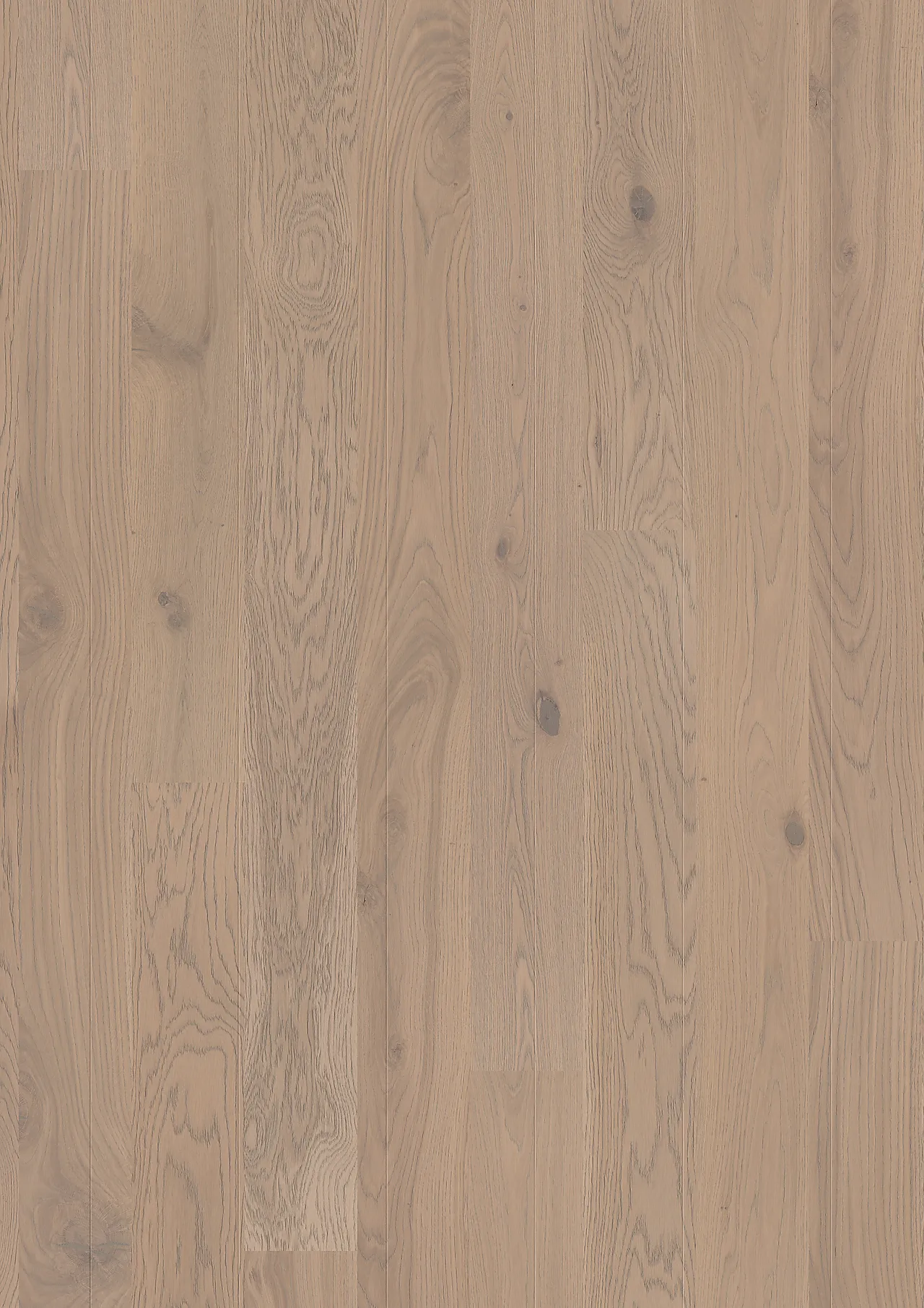 Parkett Eik Concrete Grey Plank Live Pure Parkett Eik Concrete Grey Plank Live Pure