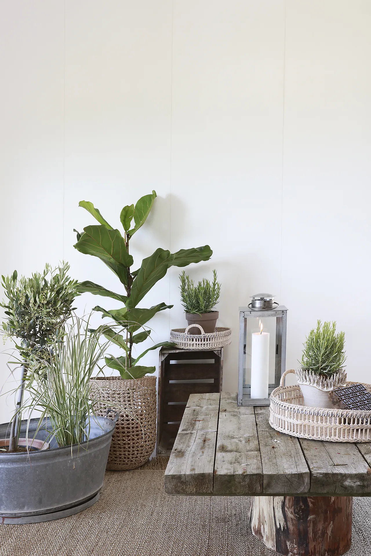 Trefiberplater antikk 2390 hvit null - null - 3 - Miniatyr