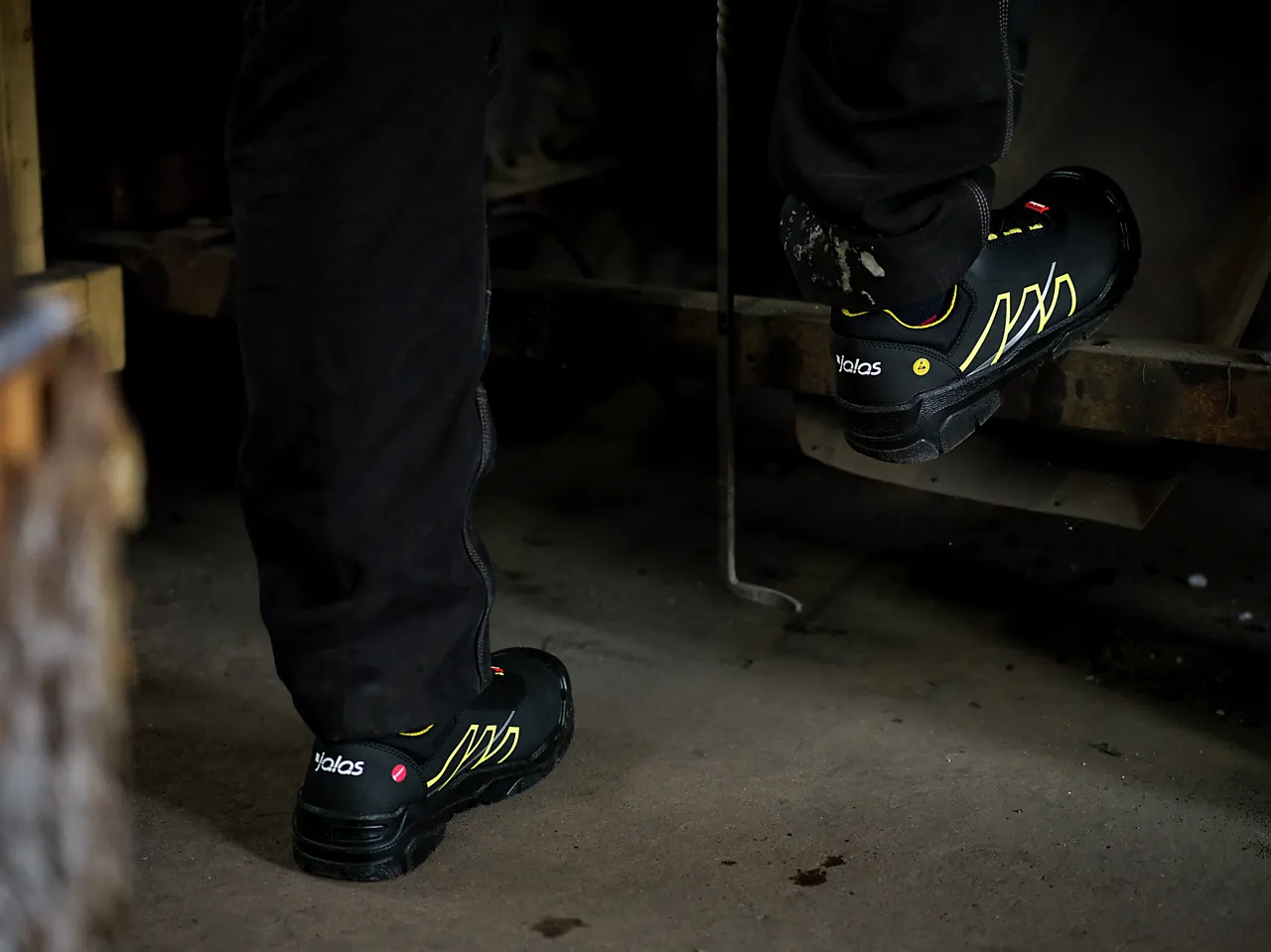 Vernesko 1558 48 jalas null - null - 3 - Miniatyr