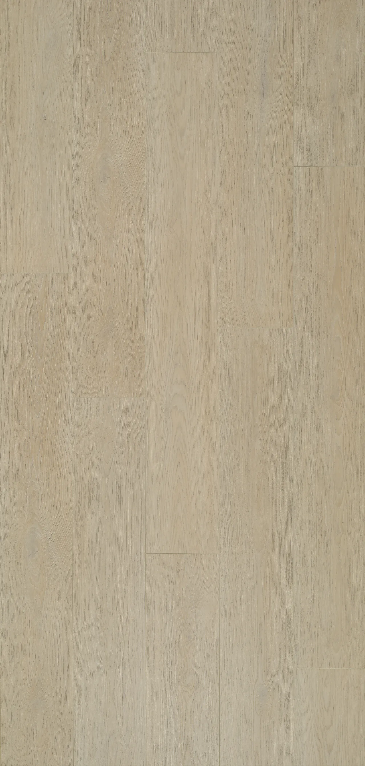 BerryAlloc Harmoni XL Natur laminatgulv i sandfarget eik null - null - 2 - Miniatyr