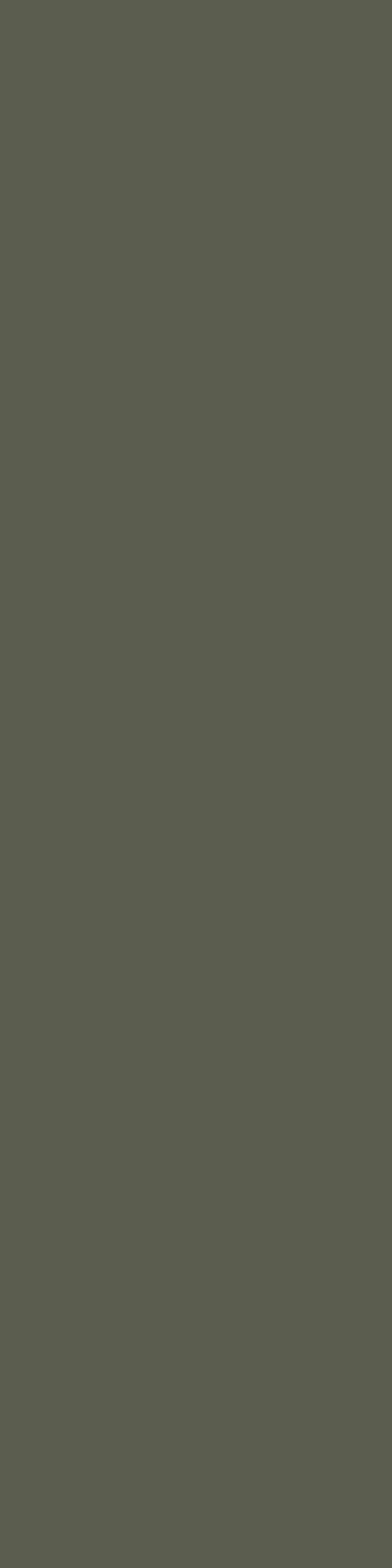 Smartpanel bad pine nut hg njg00 11x620x2390 hg dekor 274 2pk