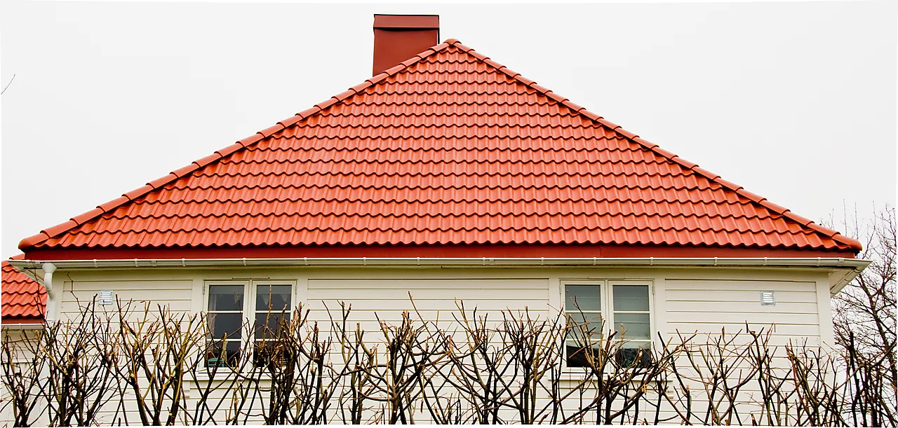 ENDEMØNE VALM KOKSGRÅ