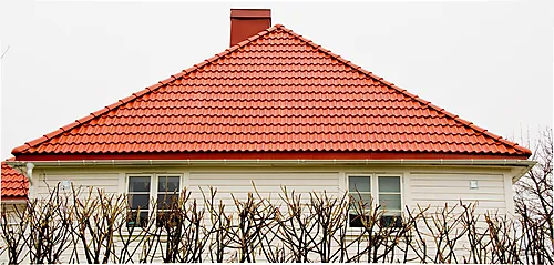 ENDEMØNE VALM KOKSGRÅ