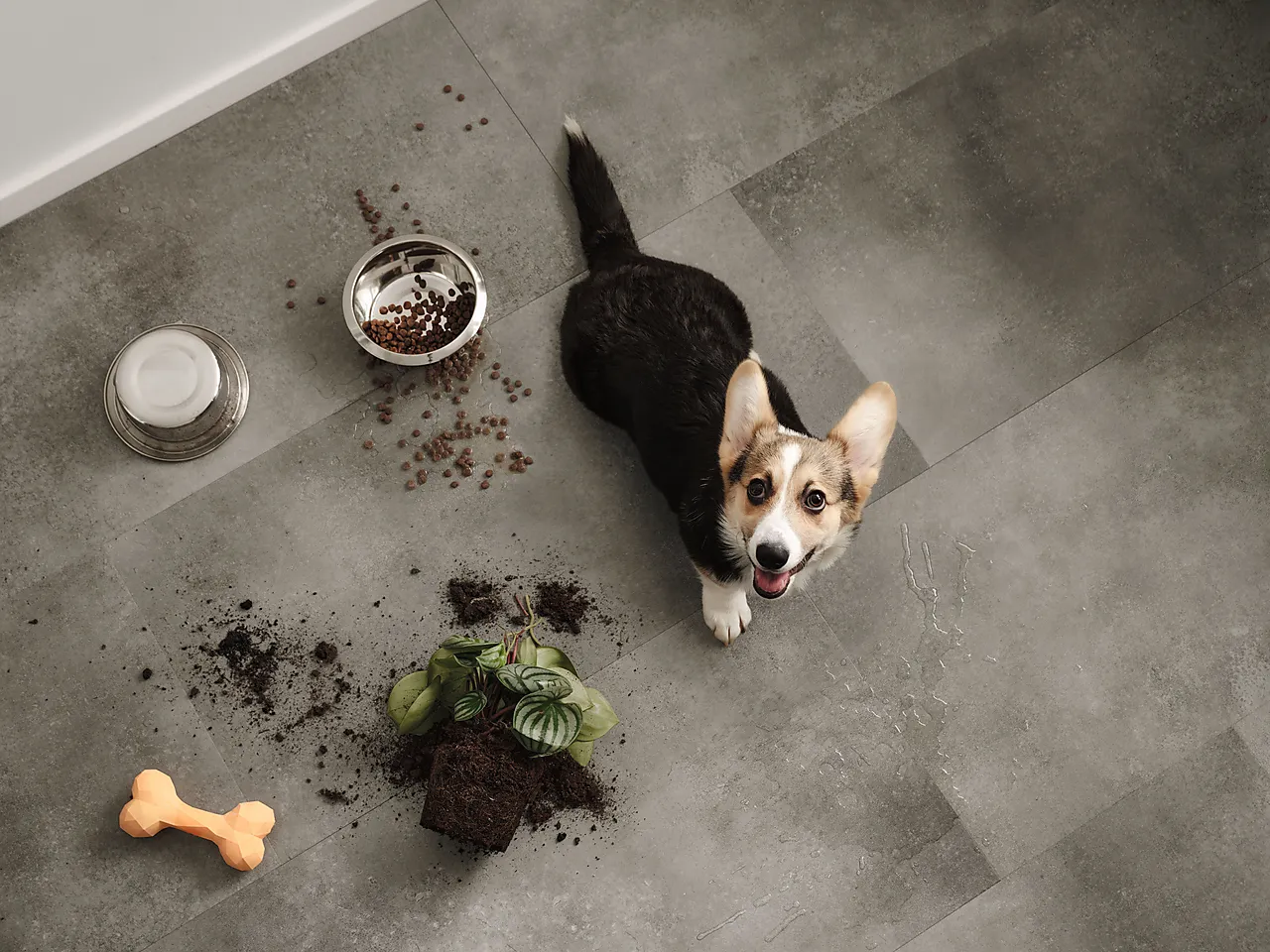 Vinylgulv Pergo Limfjord Lava Concrete null - null - 3 - Miniatyr