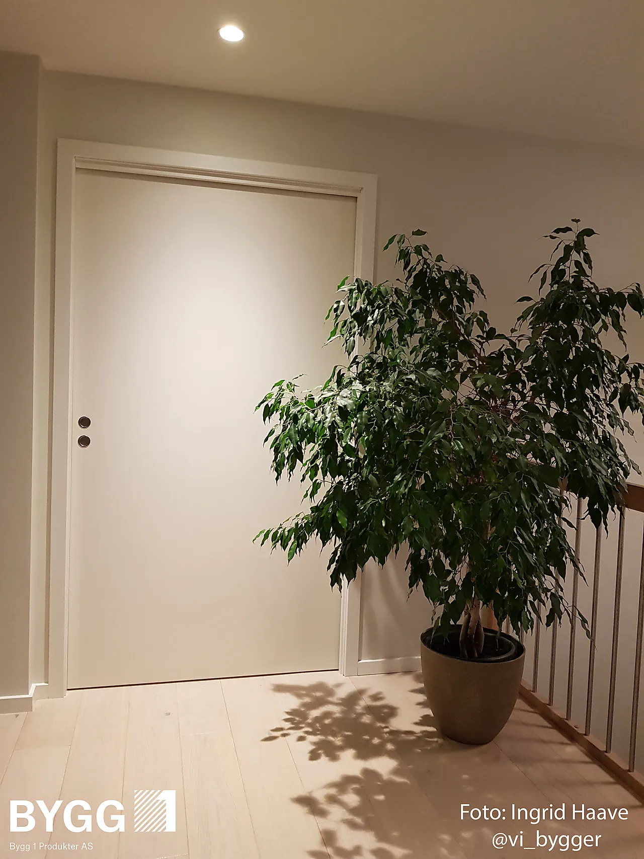 Dørbl sd sletten kompakt 8x21 hv ncs s 0502-y null - null - 3 - Miniatyr