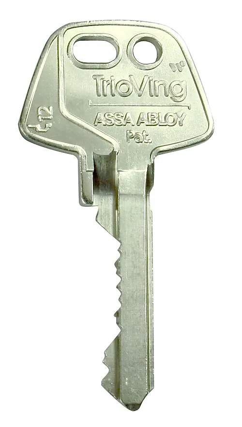 Nøkkelemne d12