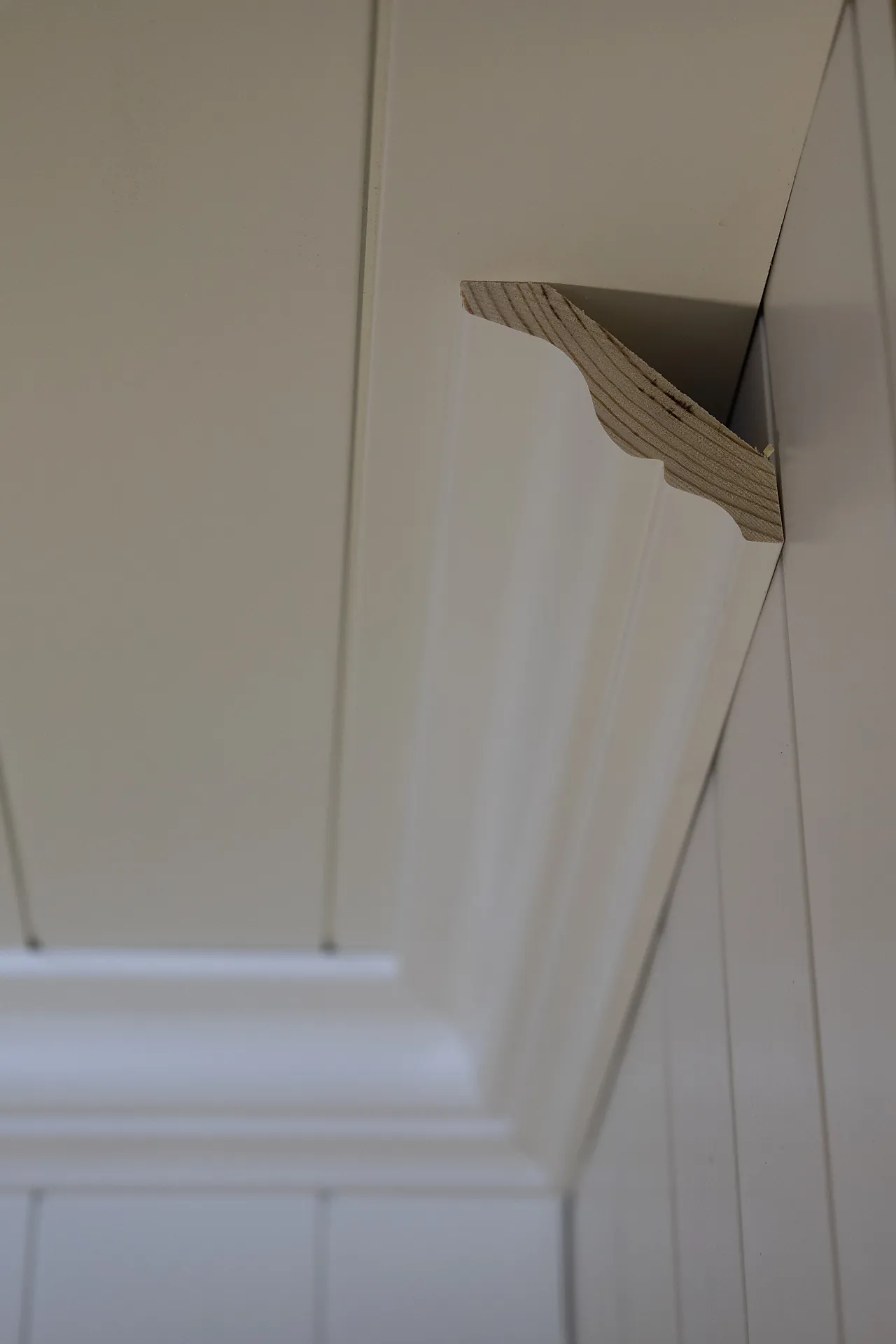 Taklist furu profilert CW344 hvit bomull S0502-Y 21x95x4400 mm null - null - 3 - Miniatyr