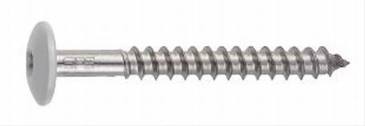 Skrue rfr tw-s-d12/t20-4,8x44 blank