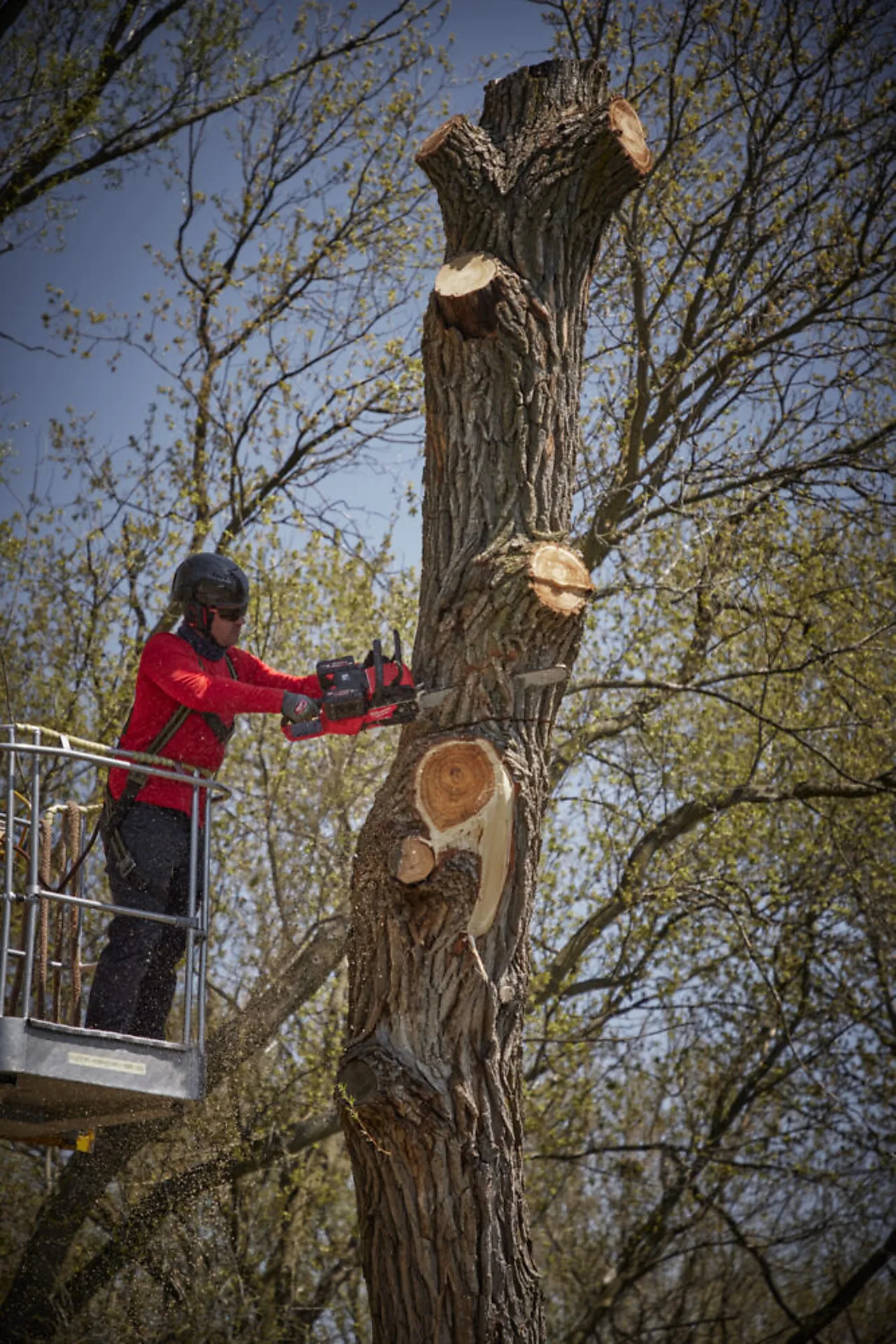 Kjedesag m18 f2chs50-0 milwaukee null - null - 3 - Miniatyr