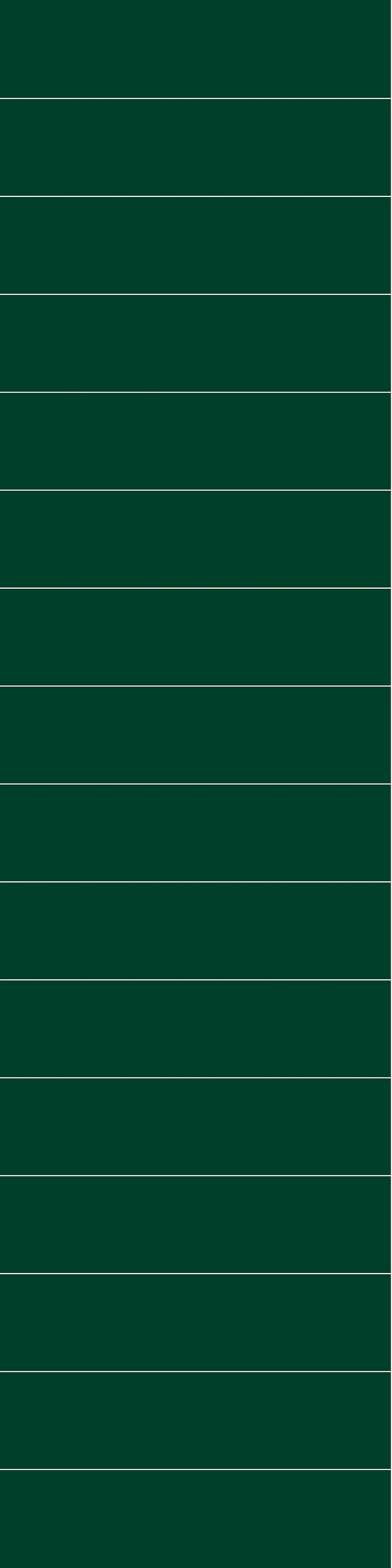 Fibo Baderomsplate 5231M6015 Bottle Green 60x15cm 10x620x240