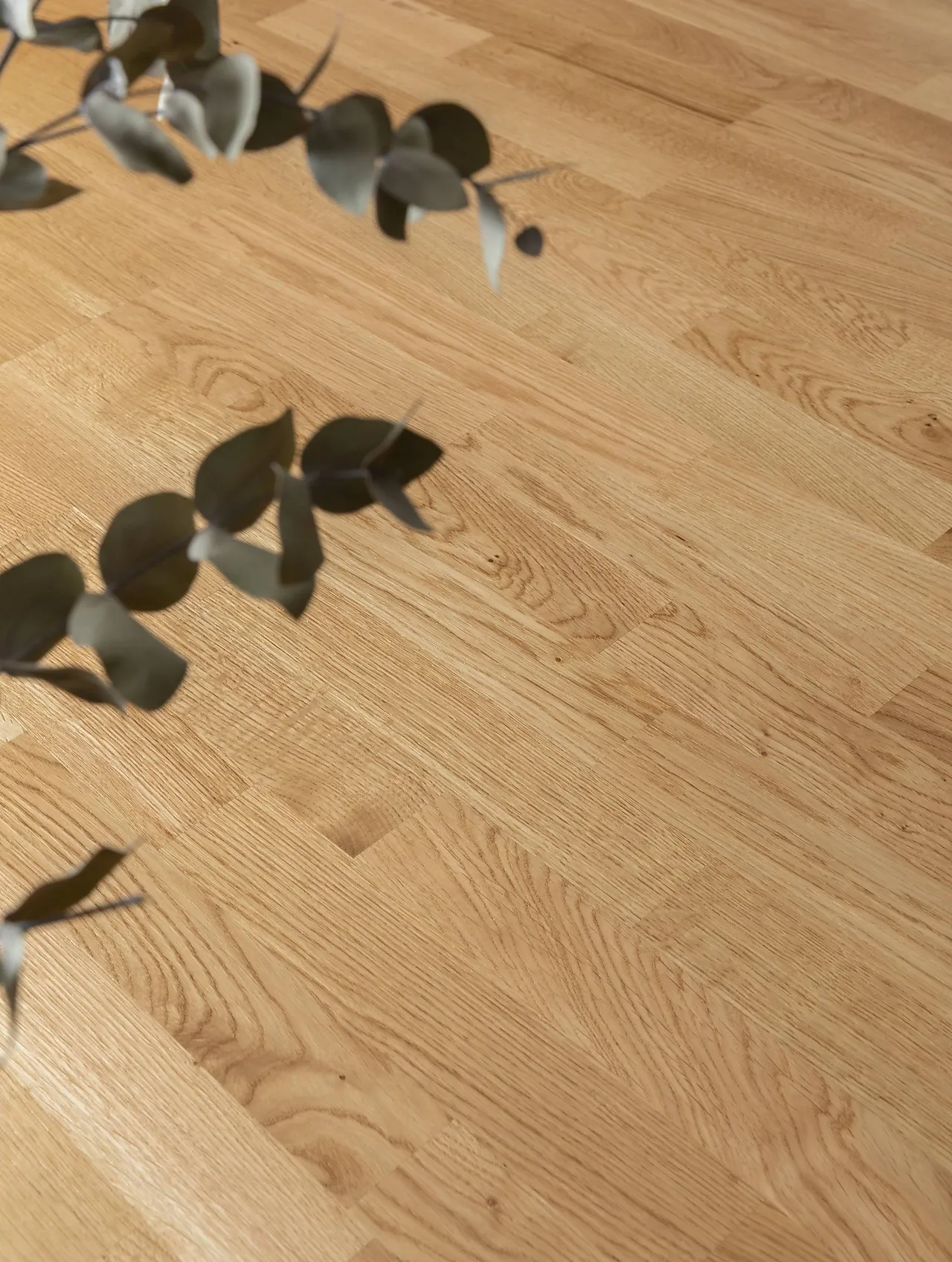 Bjelin Parkett Eik Glavat 3-Stavs Natur