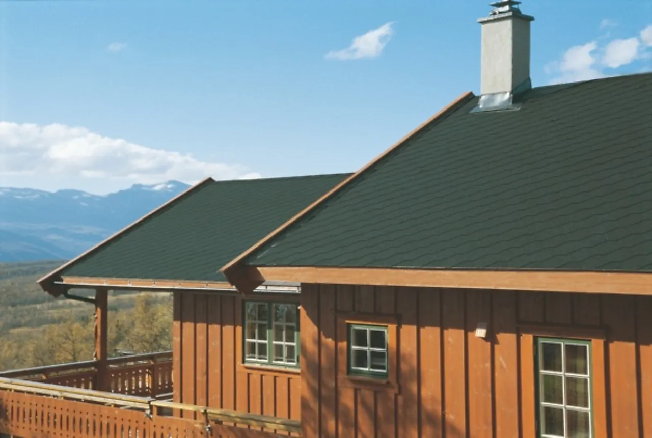 Takshingel Pro type S kullsort null - null - 2 - Miniatyr