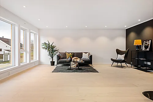 Forestia sponplate premium ceiling 12x620x1220 mm