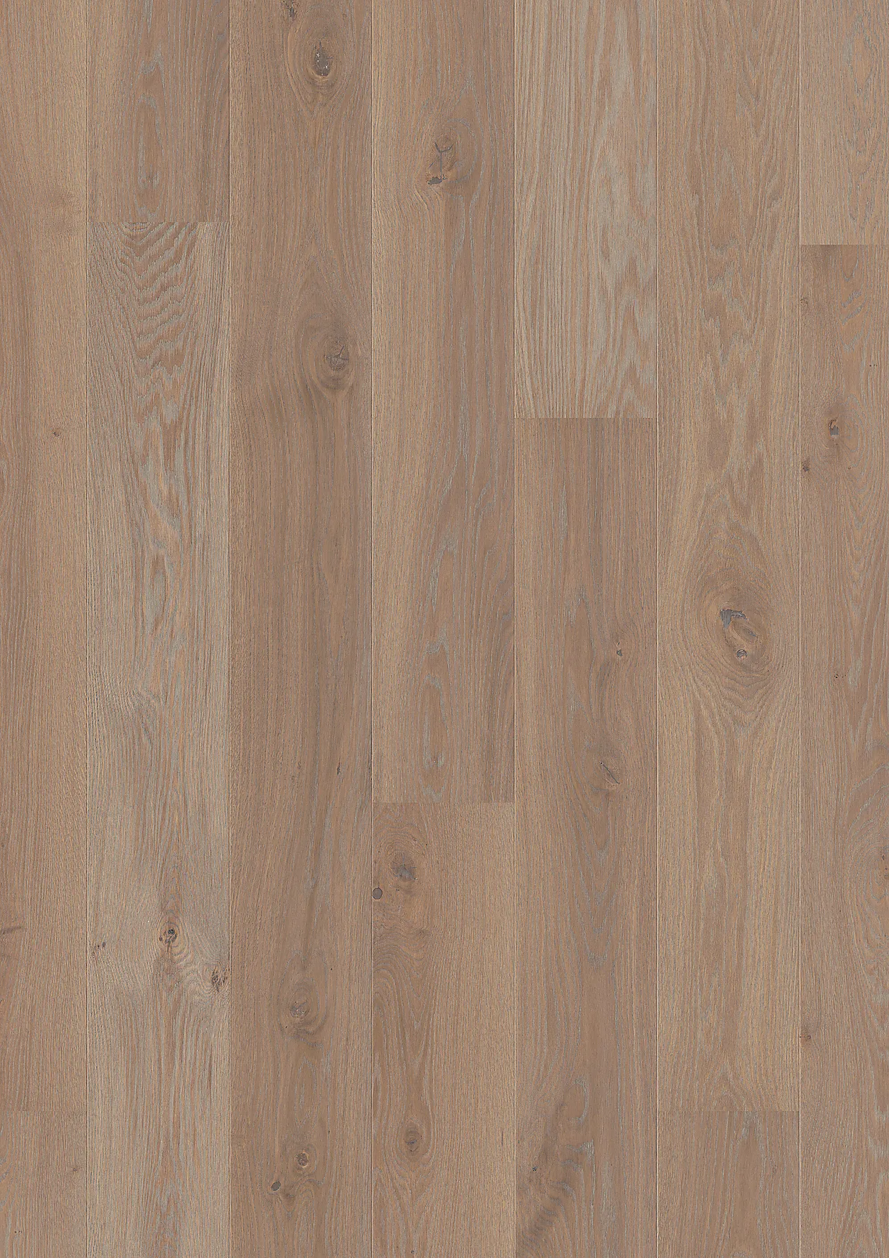 Parkett 1-stav eik warm grey pl181 live pure