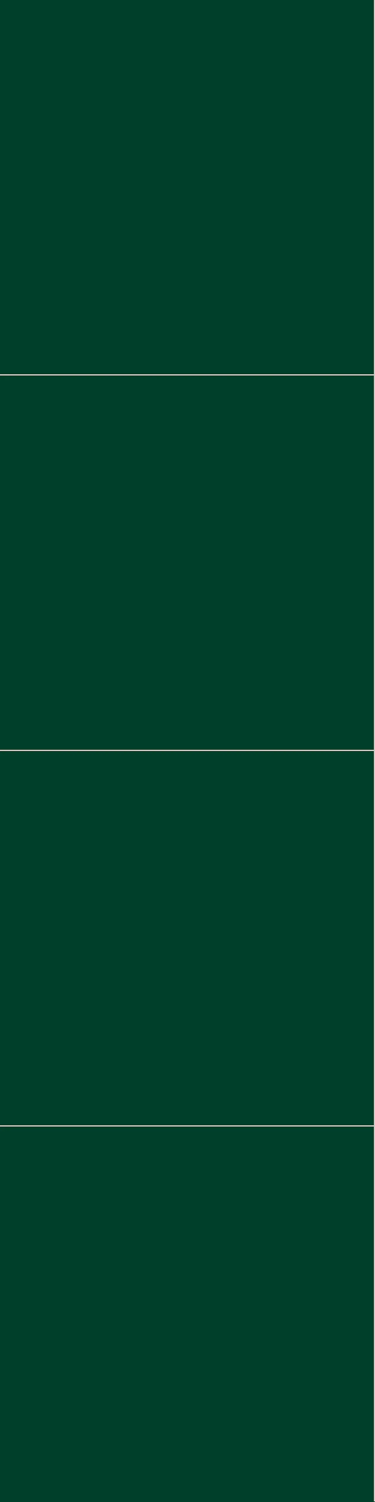 Fibo Baderomsplate 5231M6060 Bottle Green 10x620x2400mm