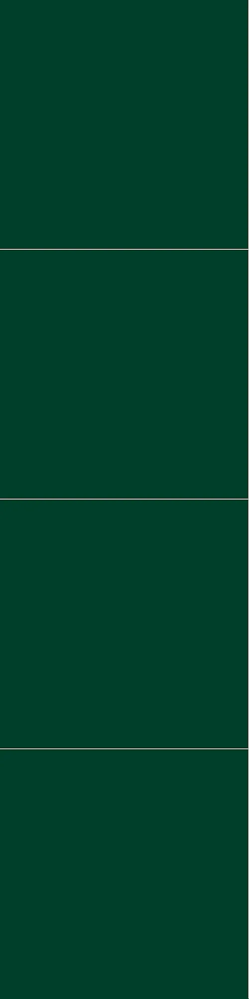 Fibo Baderomsplate 5231M6060 Bottle Green 10x620x2400mm