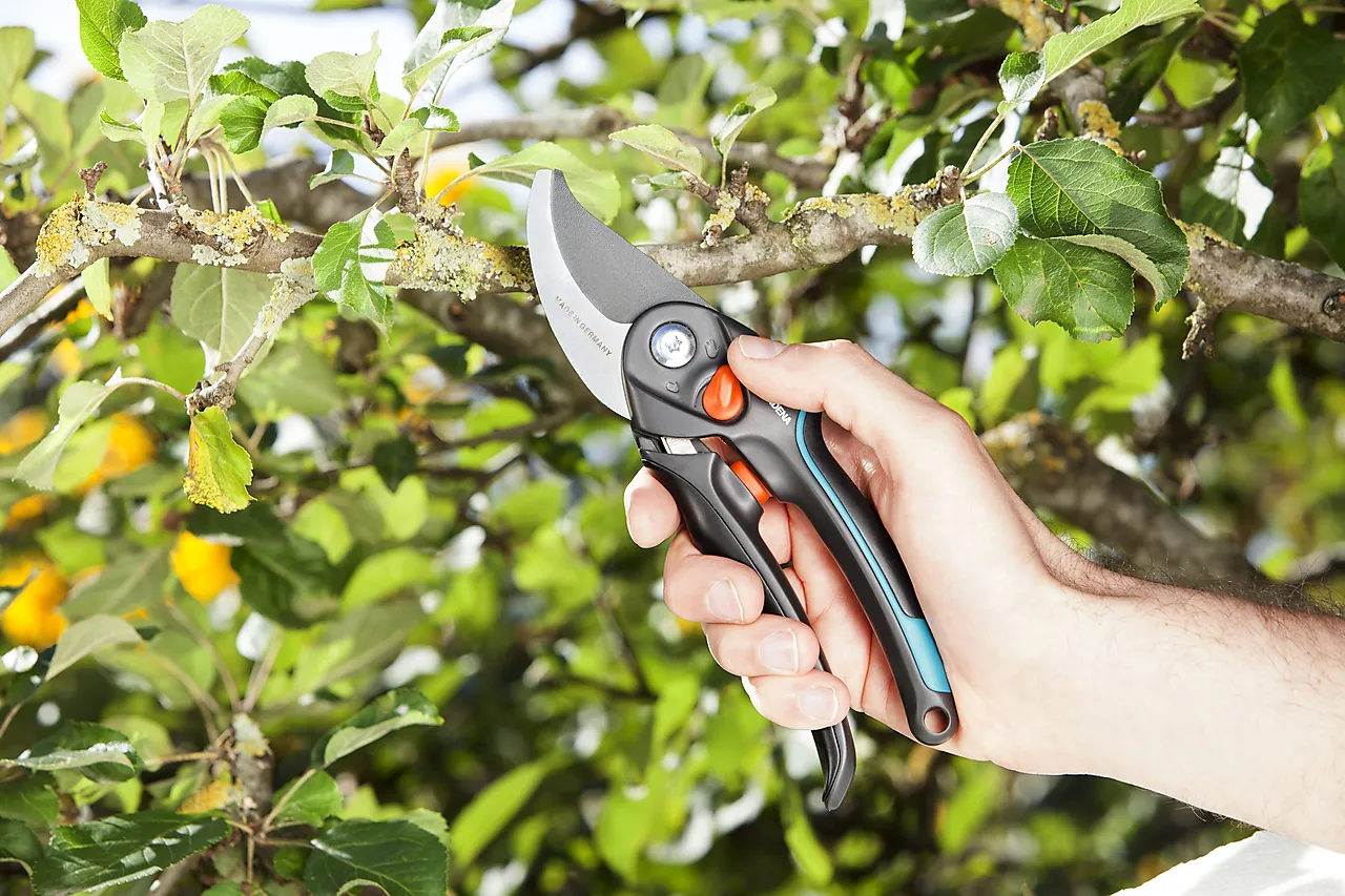 Comfort rosesaks 24 mm