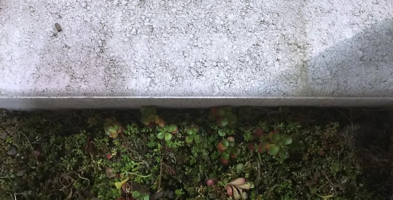 Kantstein Kongsgård grå null - null - 2 - Miniatyr