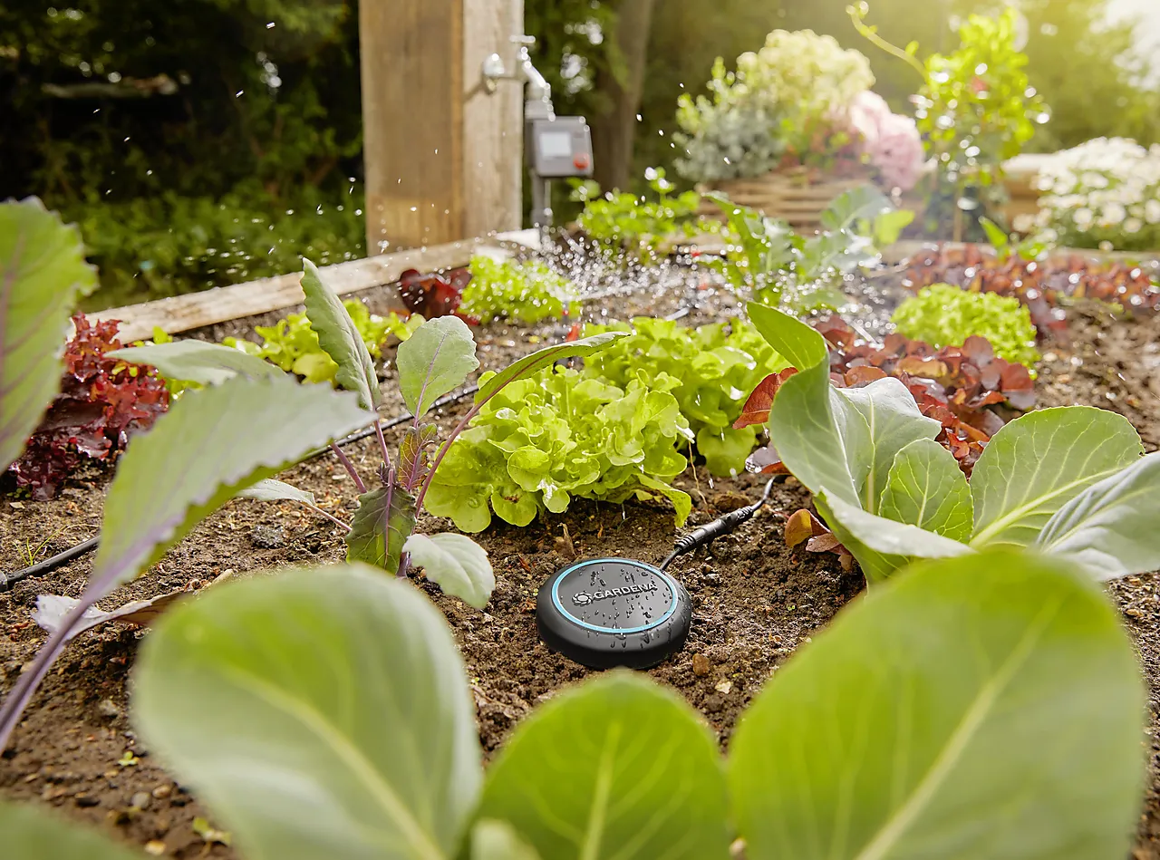 Fuktighetssensor kablet null - null - 3 - Miniatyr