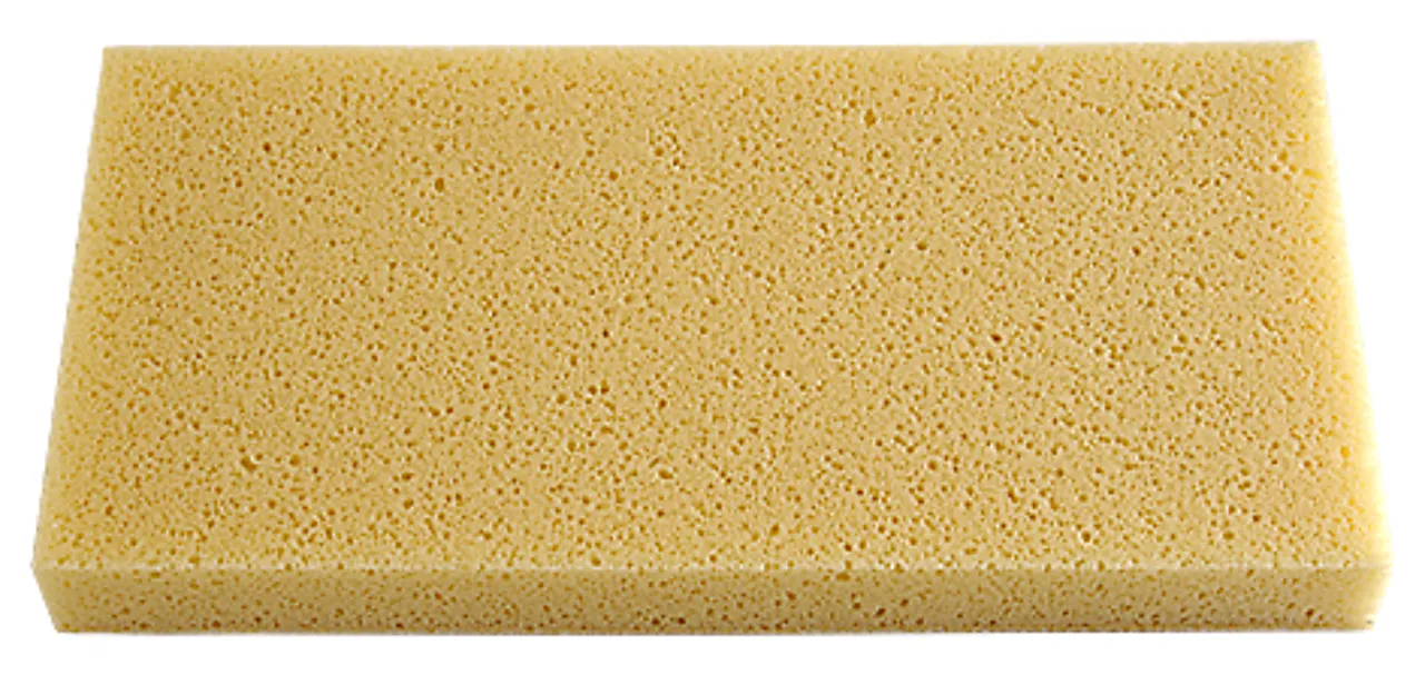 Svamp med borrelås Svamp med borrelås