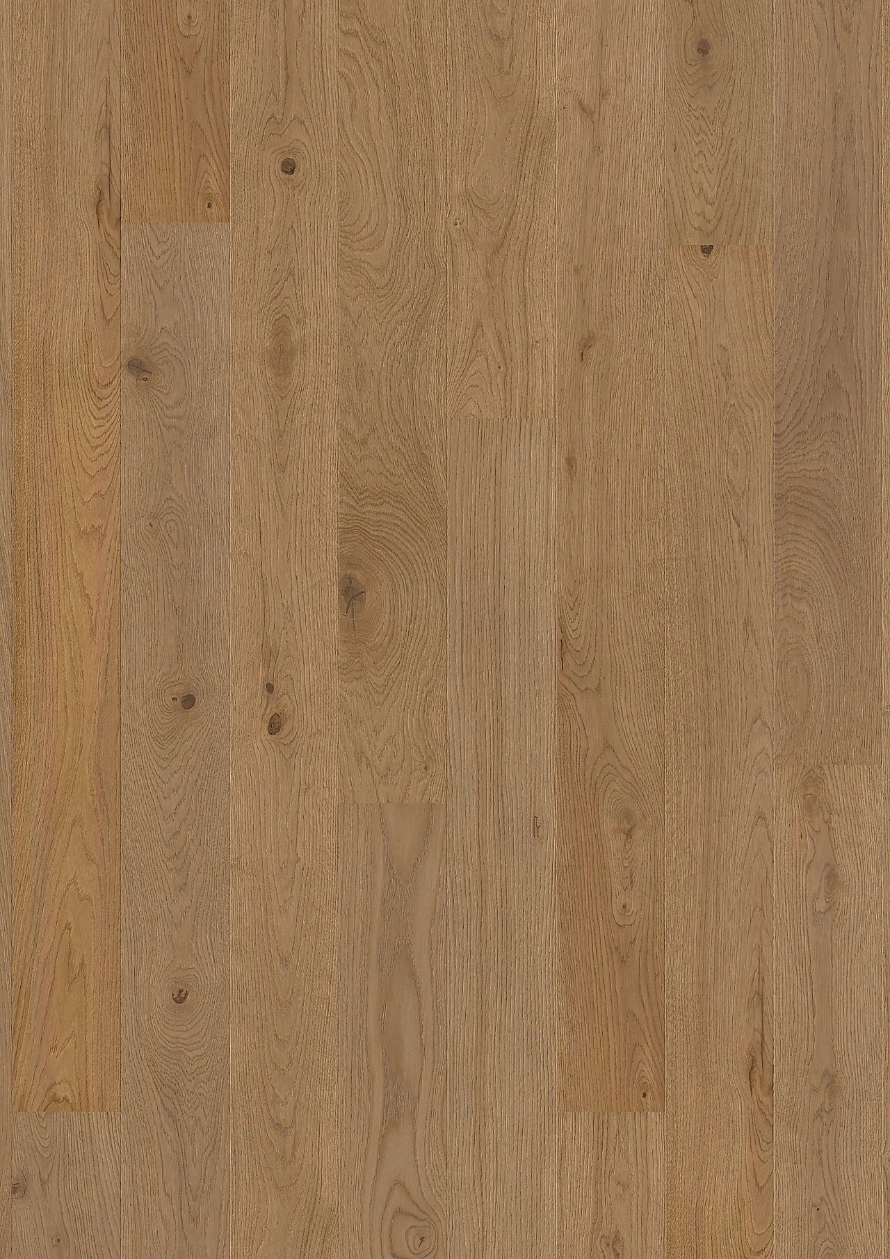 Parkett Eik Medium Grey Castle Live Matt Plus