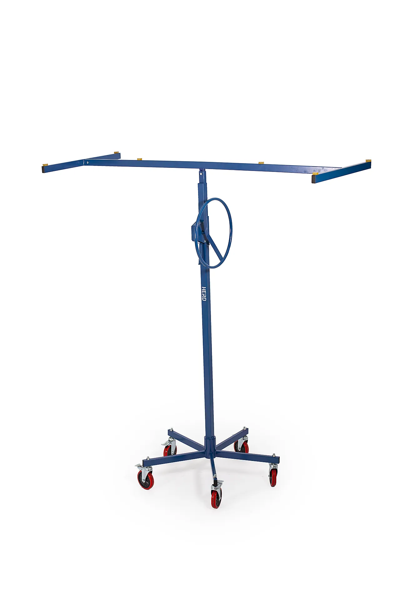 Jonex plateheis Jonex plateheis