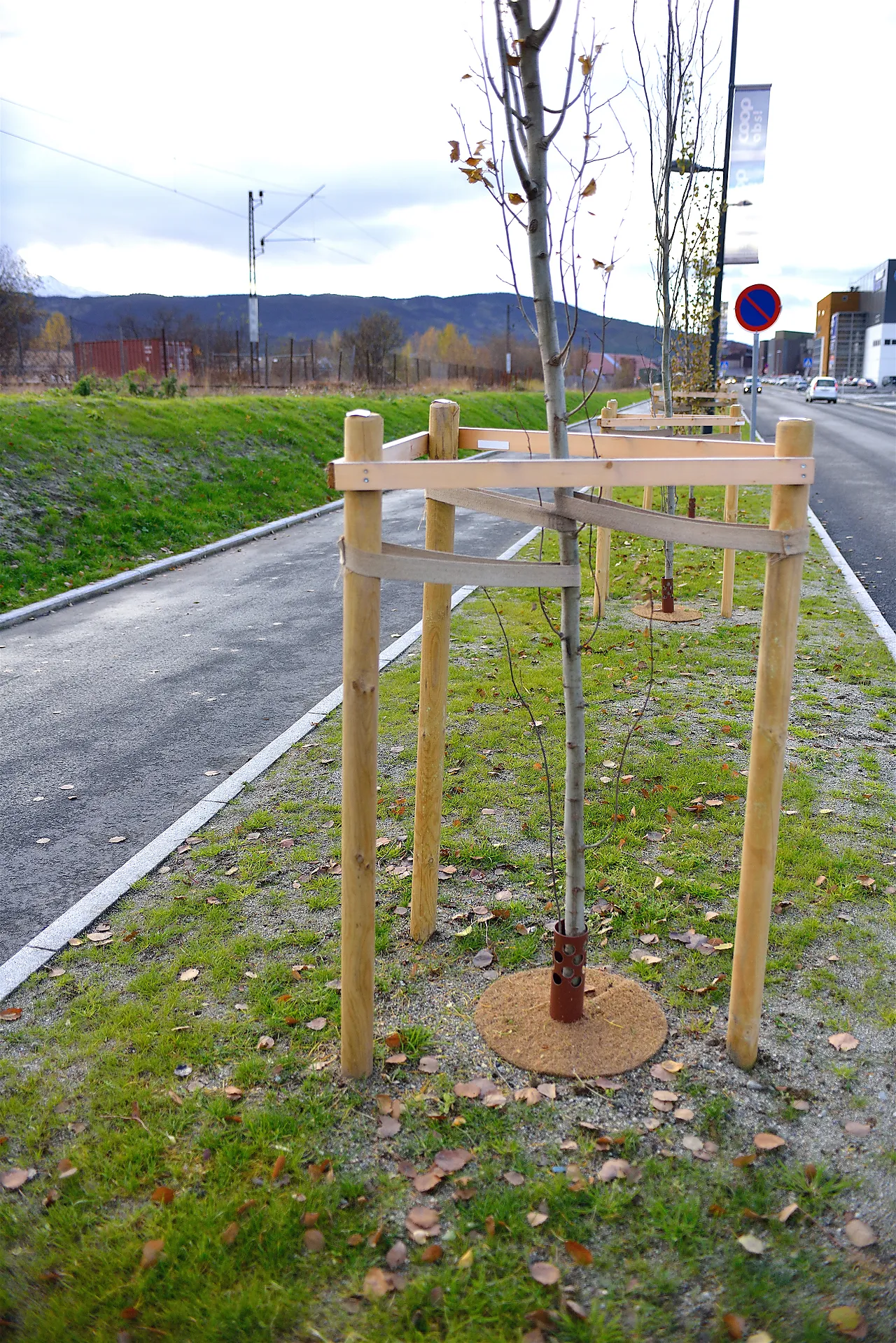 Staur ø 7x 175 cm trykkimpr