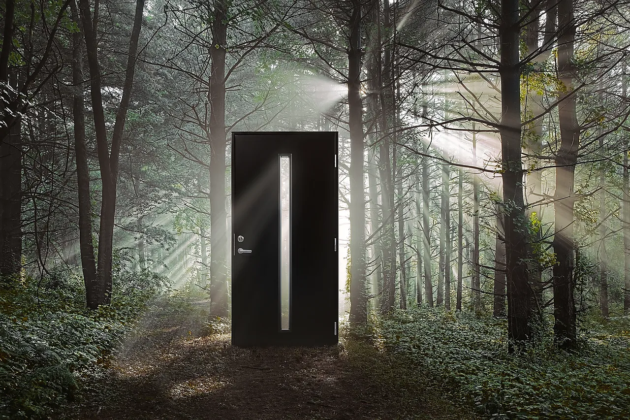 Ytterdør Hovdeby med frostet glass svart høyre 90x200 cm