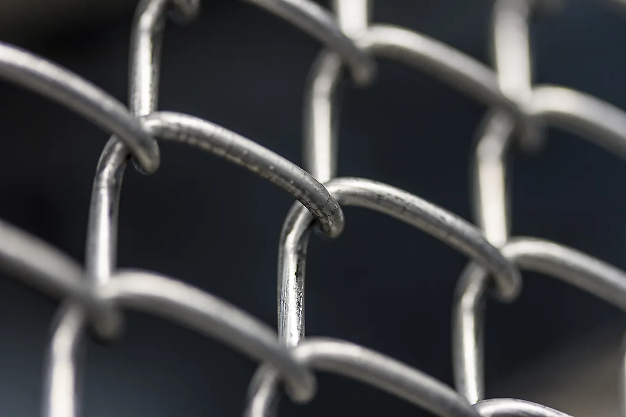 Flettverk galvanisert 1x25 m Flettverk galvanisert 1x25 m