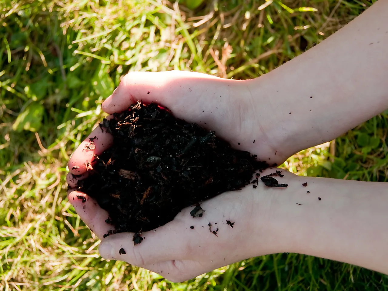 Pyntebark furu 50 L null - null - 3 - Miniatyr