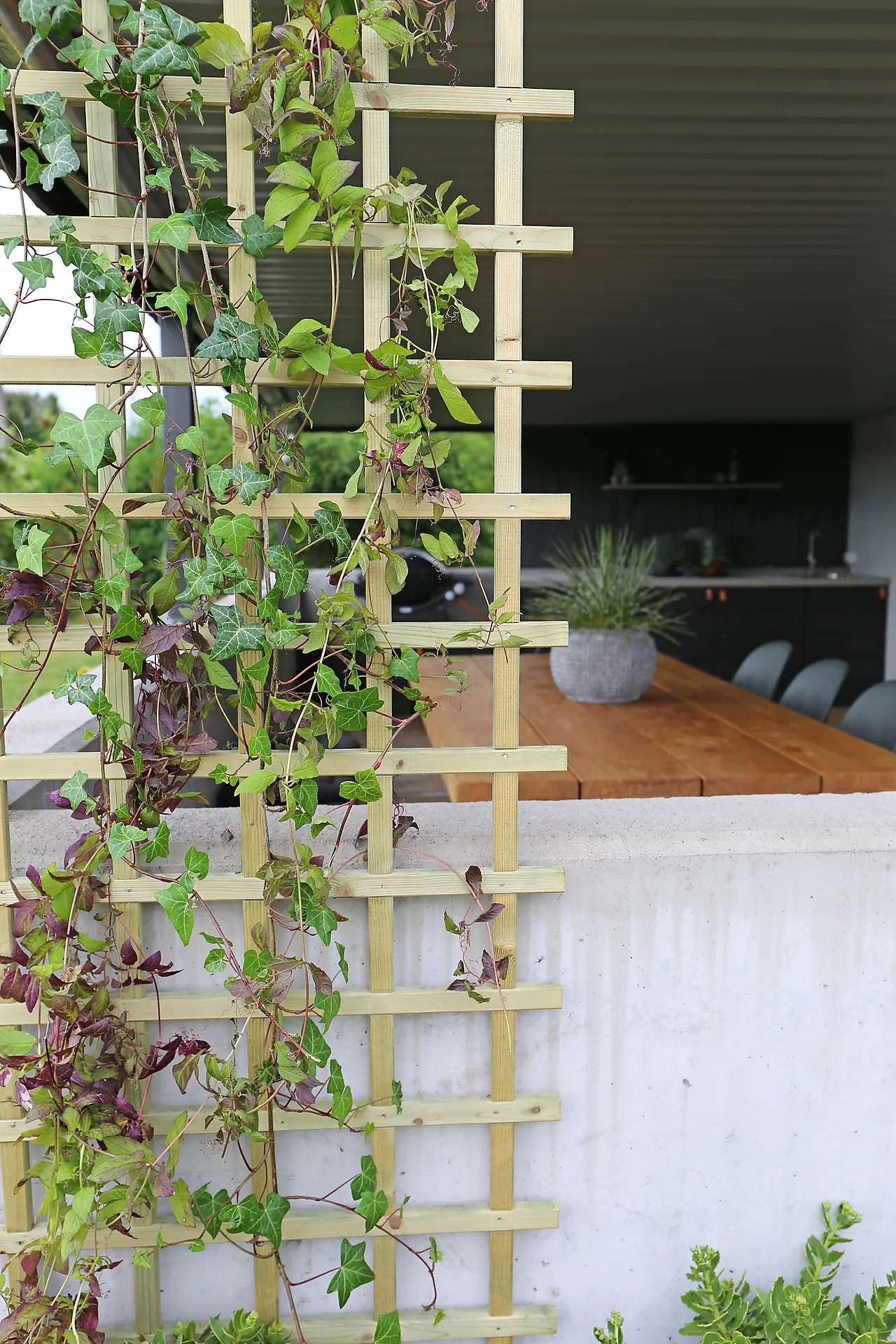 Espalier smal imp null - null - 2 - Miniatyr