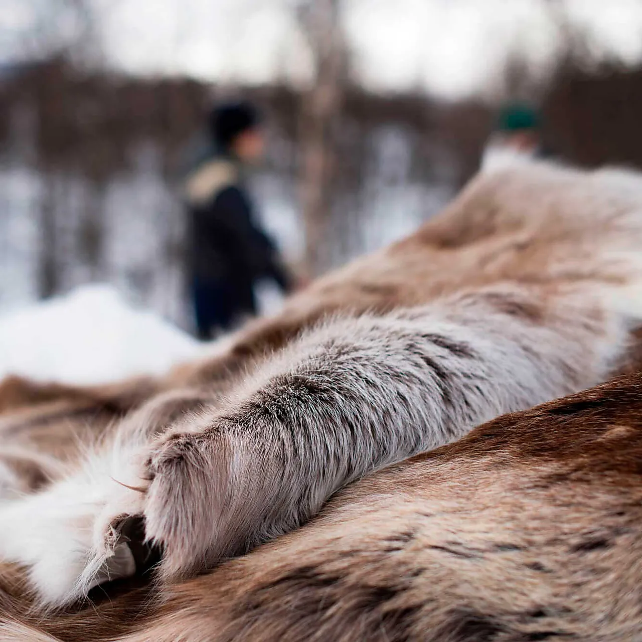 Reinsdyrskinn impregnert null - null - 3 - Miniatyr