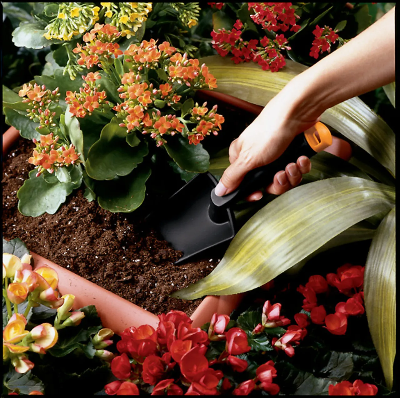 Plantespade solid null - null - 2 - Miniatyr