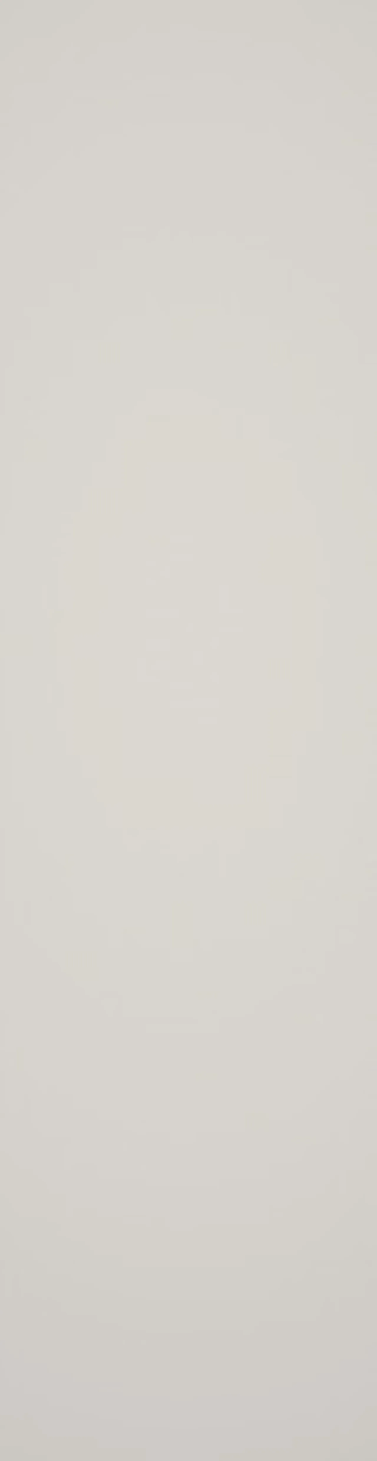 Baderomsp 2090m00 light grey no tile 10x620x2400