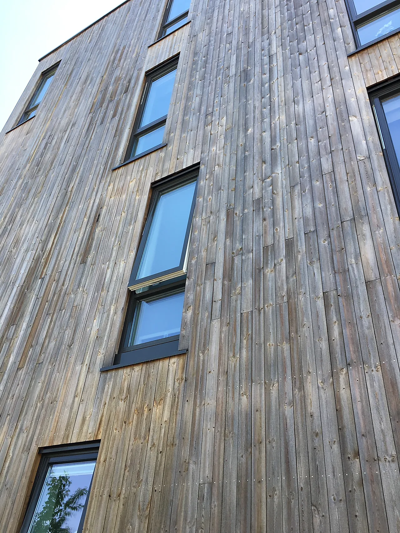 Furu 19x148 royalimp u/pig telem te ro.0 null - null - 3 - Miniatyr