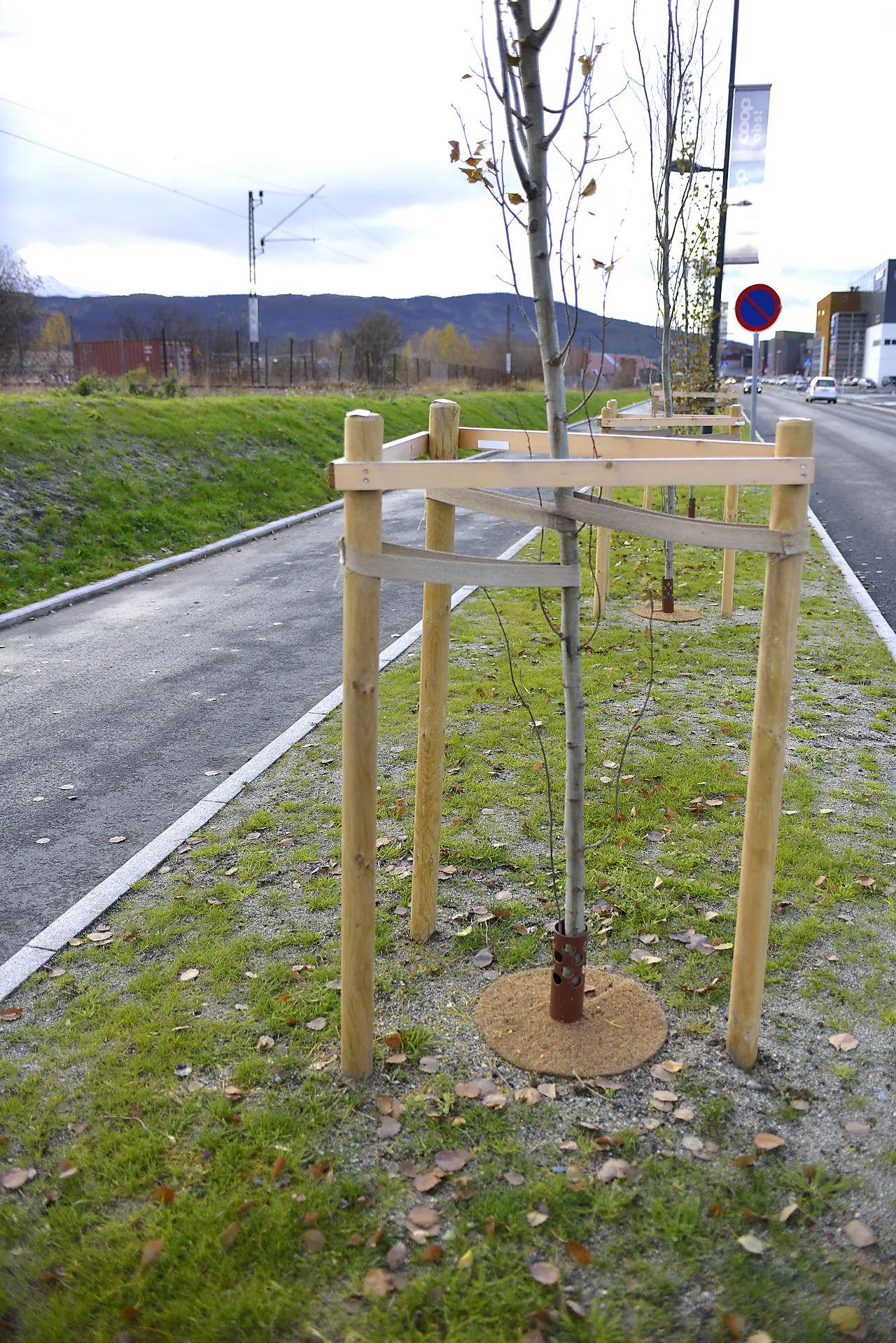 Staur ø 7x 175 cm trykkimpr