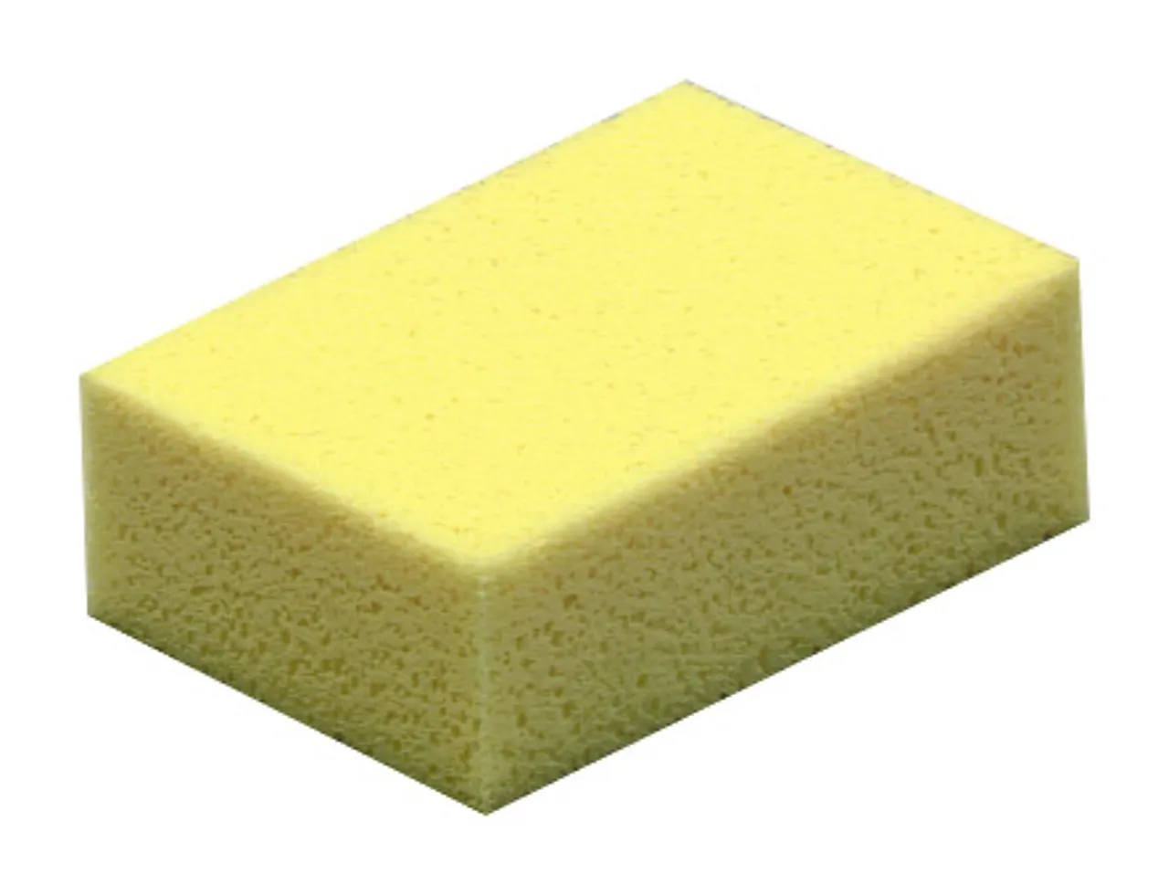 Flissvamp enkel askøy mur