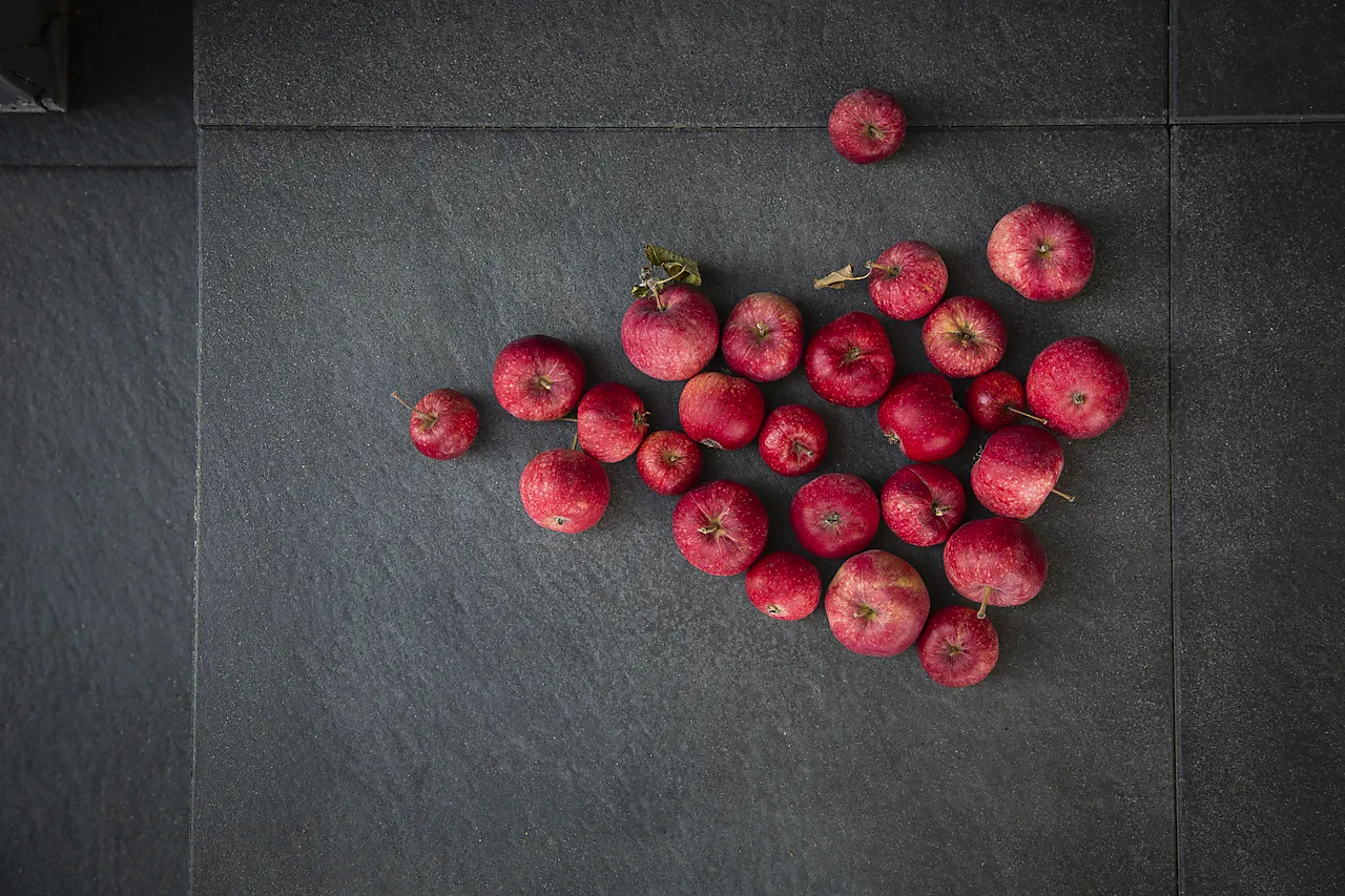 Helle lava 60x60x4 cm null - null - 3 - Miniatyr