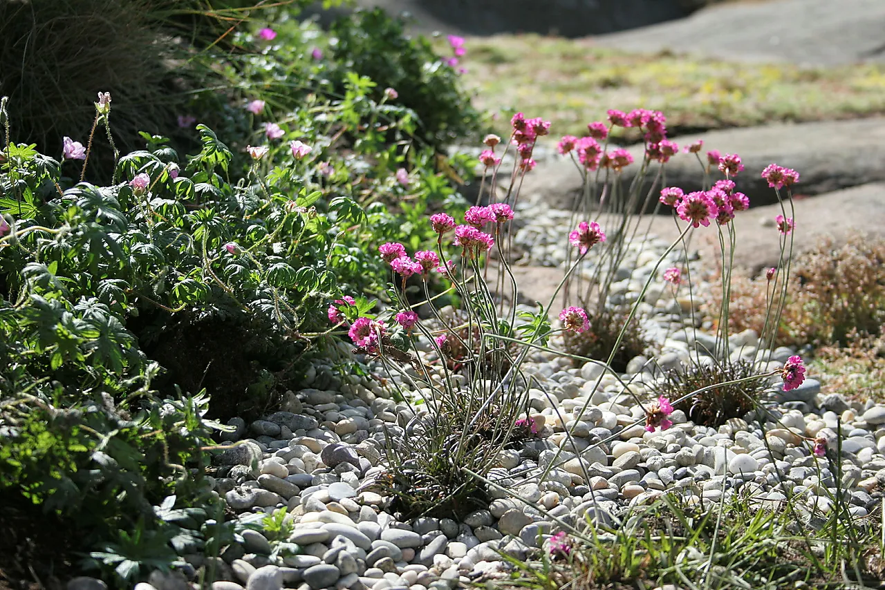 Dekorstein Arctic elvestein 15/25 20 kg null - null - 2 - Miniatyr