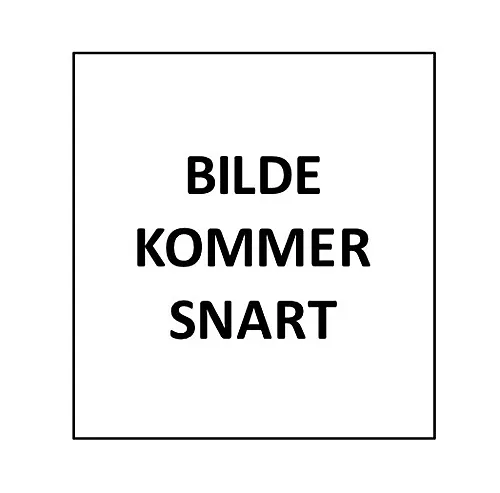 Påfyllingstut til alkylatbensin