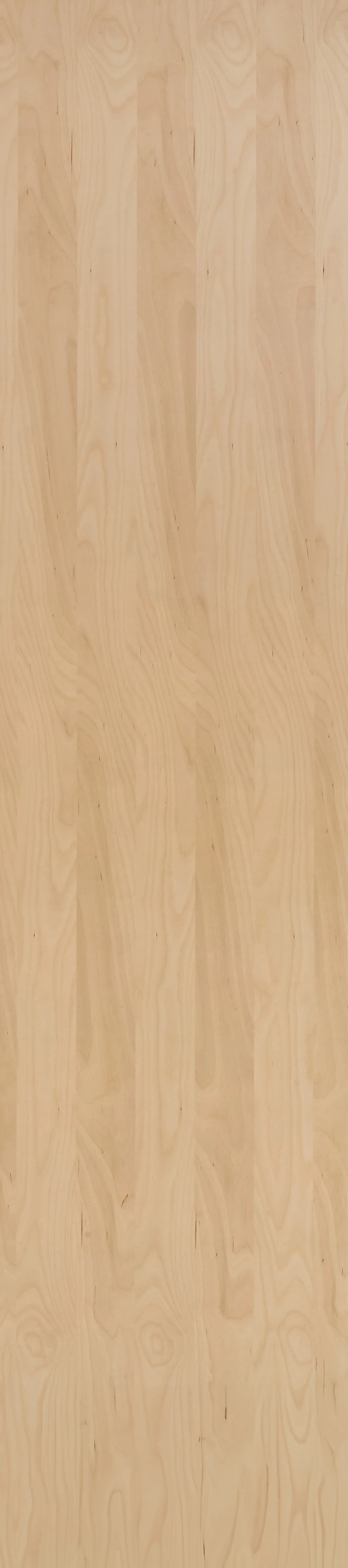 Fibo kryssfiner lakkert bjørk 2720 mm Fibo kryssfiner lakkert bjørk 2720 mm