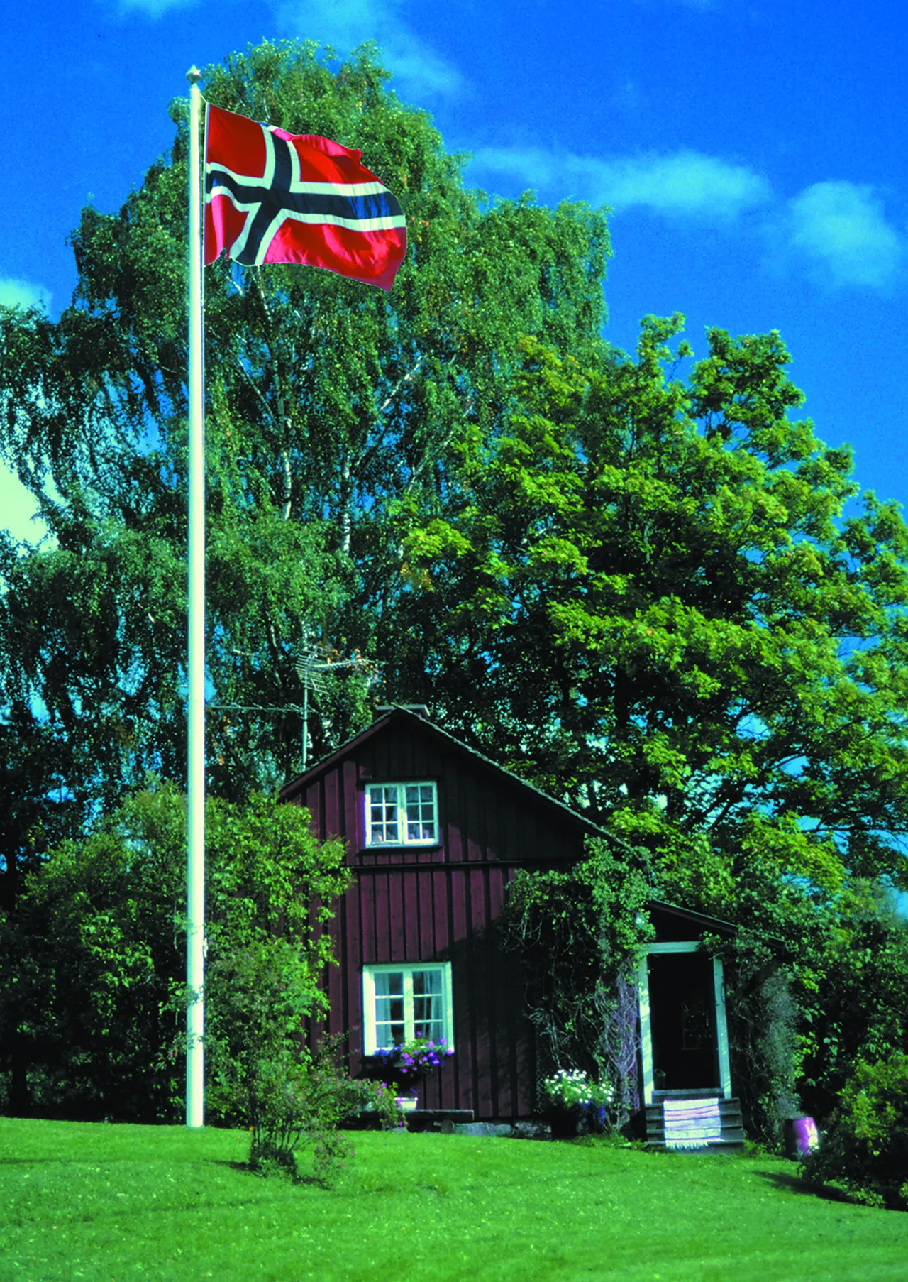 Flaggstang 9m glassfiber med kule line og feste