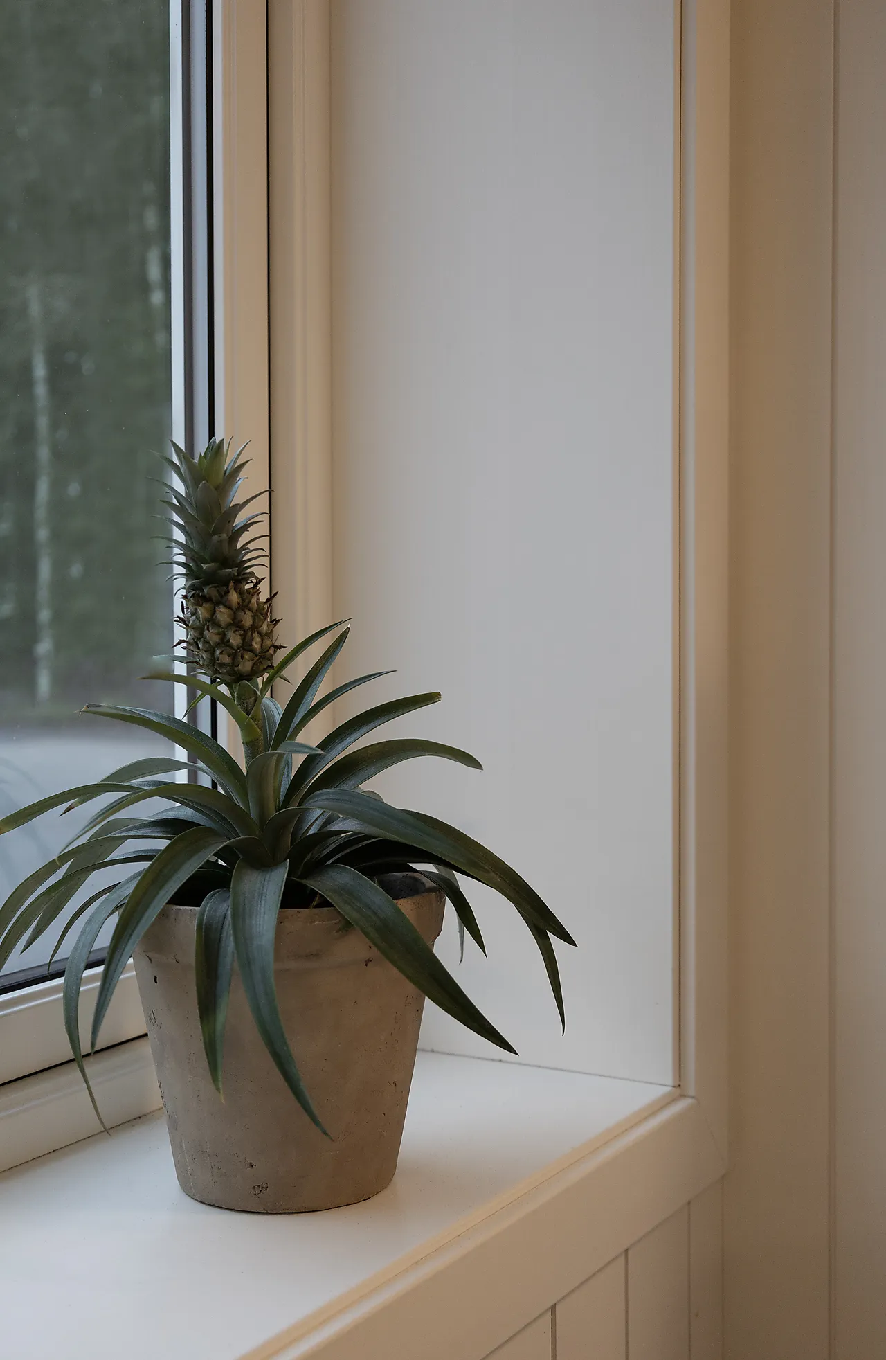 Dørsett furu 18x045 utforing klassisk hvit null - 18x045 - 3 - Miniatyr