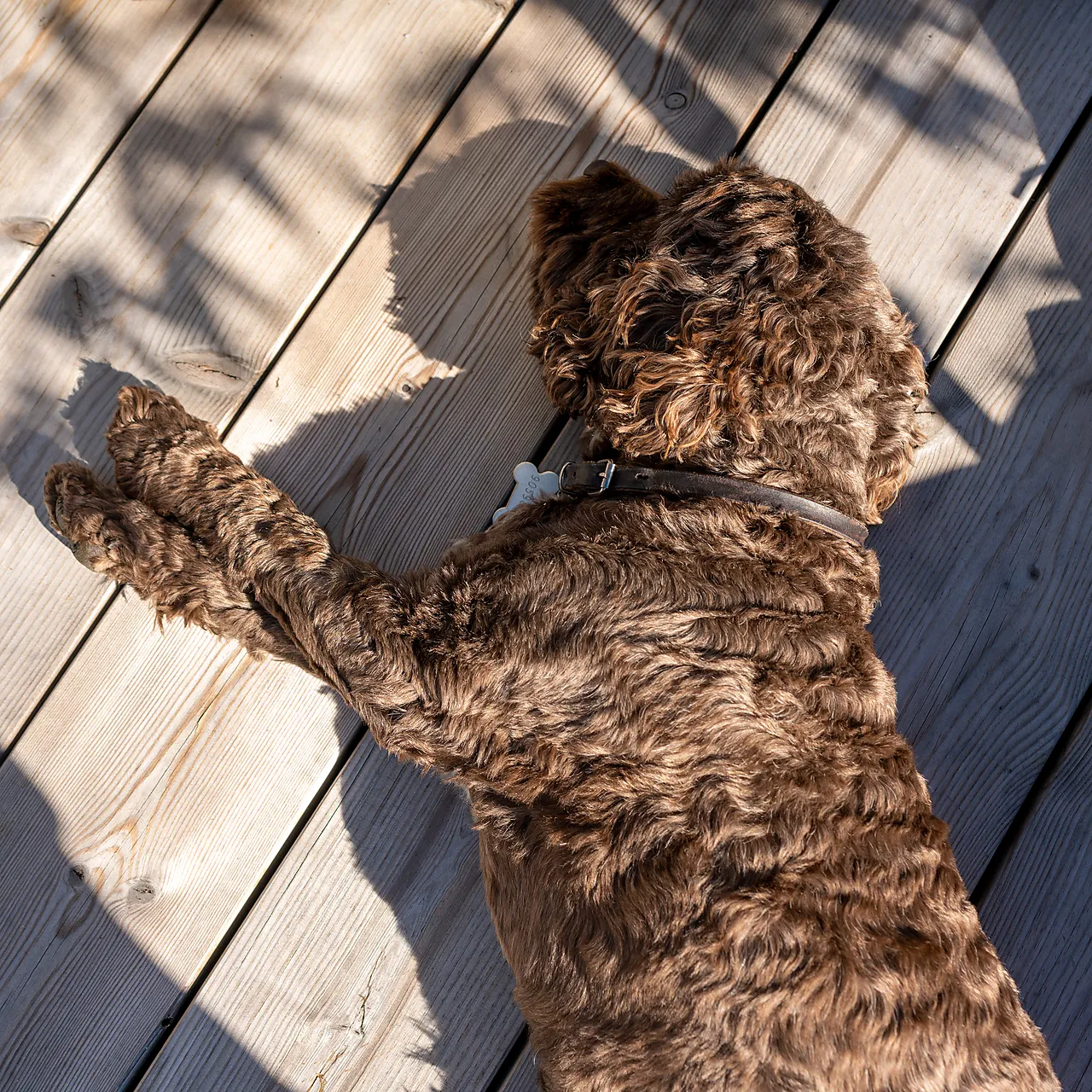 Terrassebord impregnert furu klasse 1 21x95x3600 mm null - null - 3 - Miniatyr