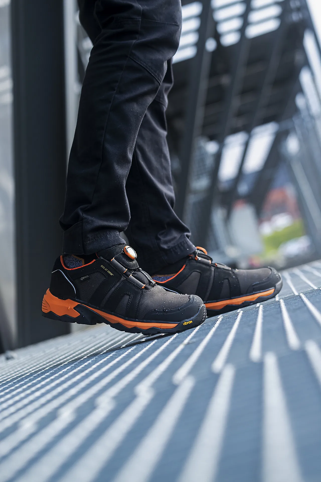 Vernesko Tigris lav SG81003 str 43 null - 38 - 3 - Miniatyr