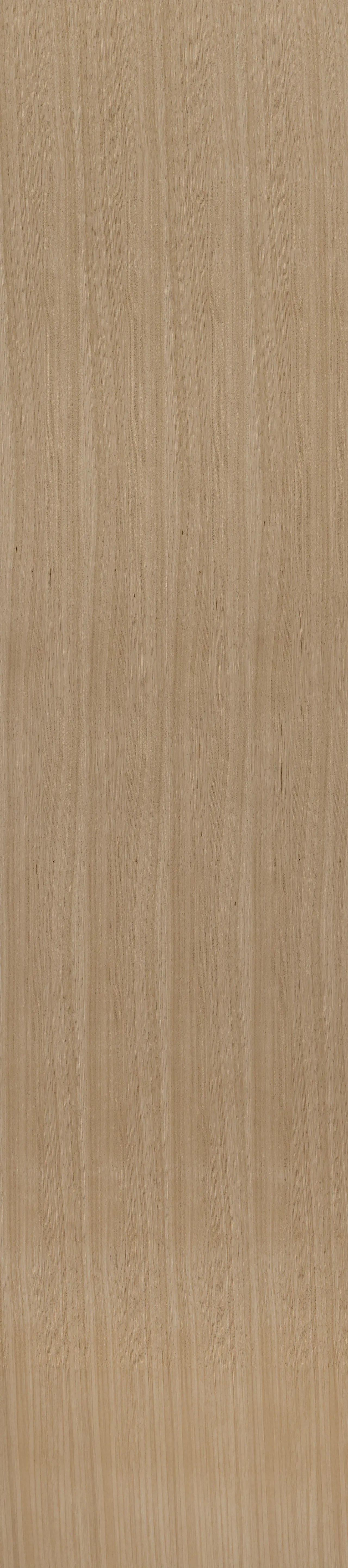 Fibo kryssfiner lakkert eik panel 2720mm Fibo kryssfiner lakkert eik panel 2720mm